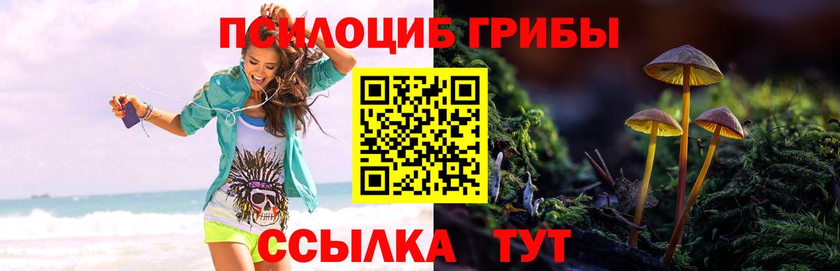 Псилоцибиновые грибы мицелий Ленинск-Кузнецкий